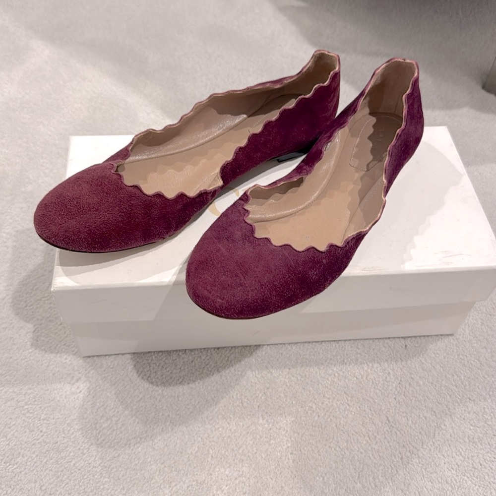 Chloe Scalloped Flats Sz 7